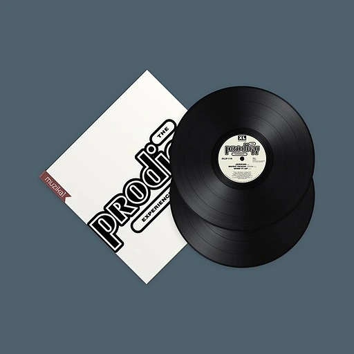 The Prodigy - Experience