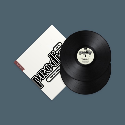 The Prodigy - Experience