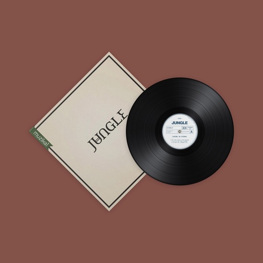 Jungle - Loving In Stereo